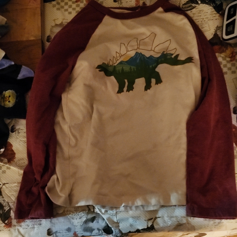 Kids Dinosaur Raglan Shirt - Red and Cream